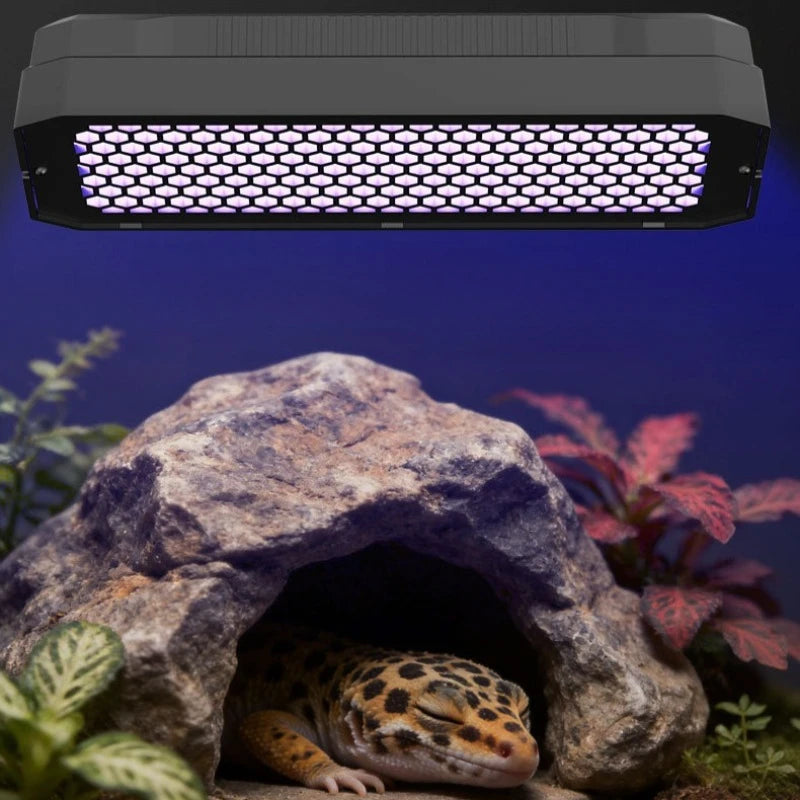 Adjustable Reptile UVA/UVB LED Terrarium Light with Timer – 5W & 10W