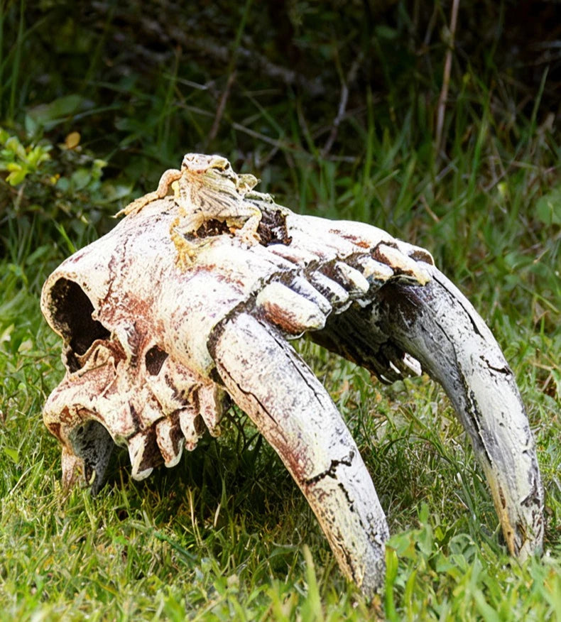 Reptile Skull Hideout & Terrarium Decor – Panda, Mammoth & T-Rex