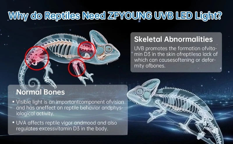 Reptile UVB Basking Light with 3 Lighting Modes & Multi-Function Controller