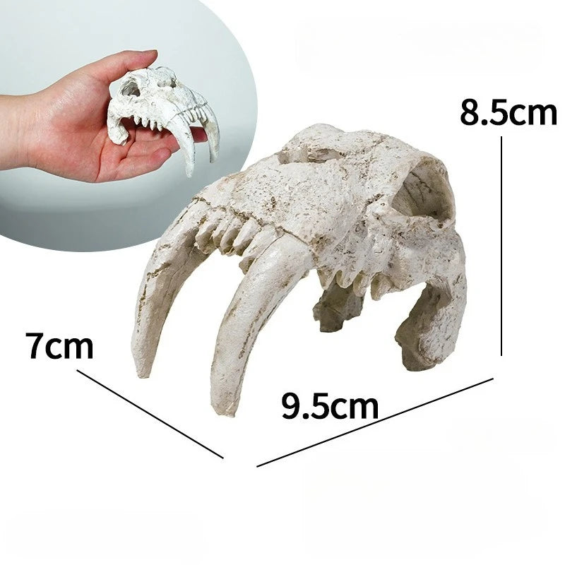 Reptile Skull Hideout & Terrarium Decor – Panda, Mammoth & T-Rex