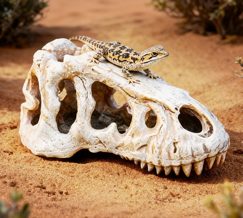 Reptile Skull Hideout & Terrarium Decor – Panda, Mammoth & T-Rex