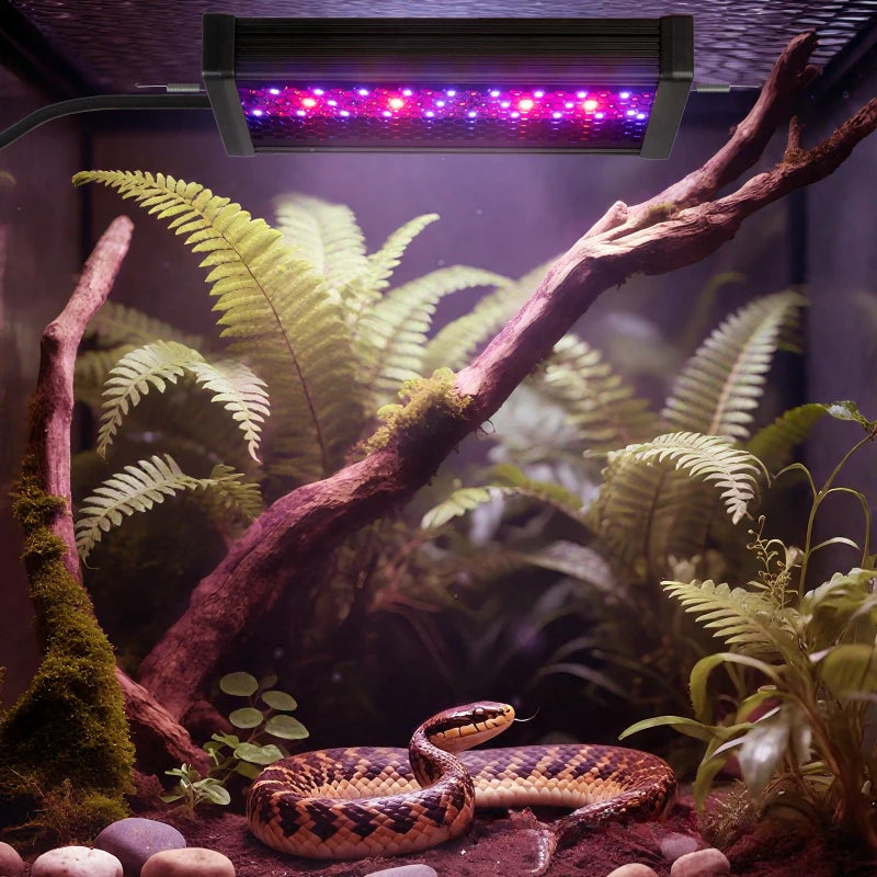 Reptile UVB Basking Light with 3 Lighting Modes & Multi-Function Controller