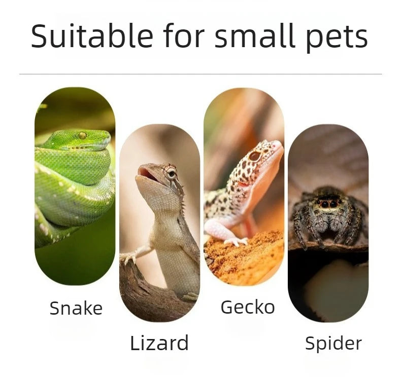 Reptile Skull Hideout & Terrarium Decor – Panda, Mammoth & T-Rex