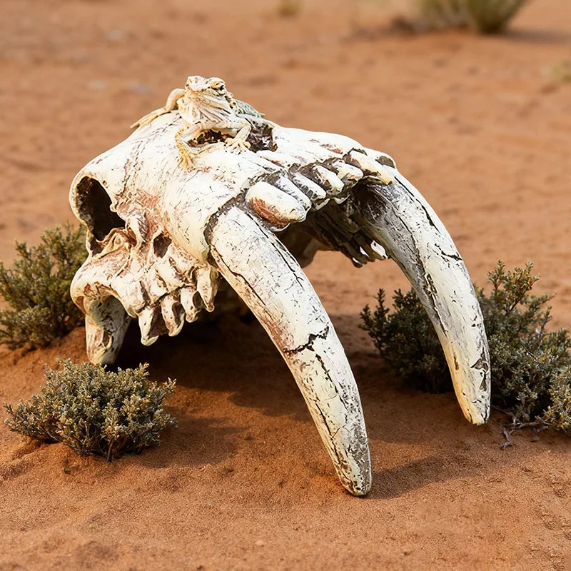 Reptile Skull Hideout & Terrarium Decor – Panda, Mammoth & T-Rex