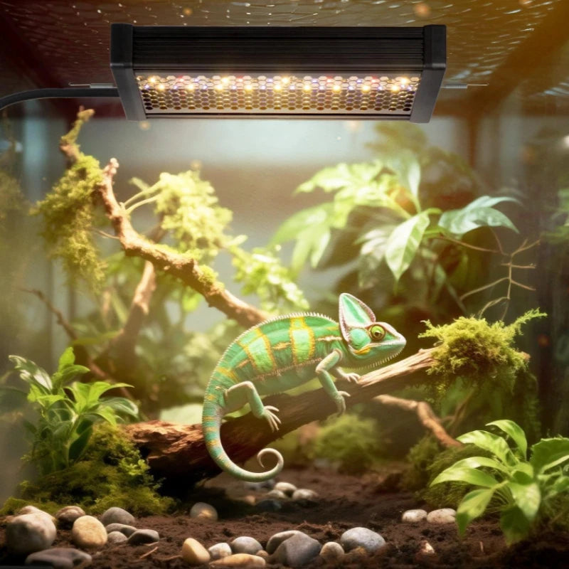 Reptile UVB Basking Light with 3 Lighting Modes & Multi-Function Controller