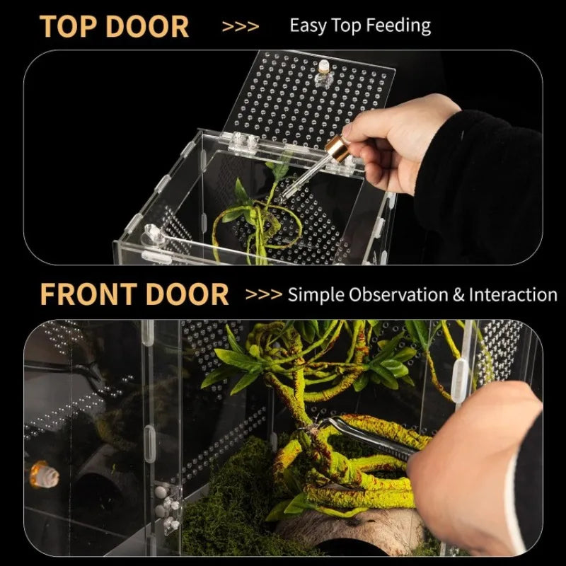 20x20x30cm Acrylic Reptile Terrarium with Ventilated Removable Lid