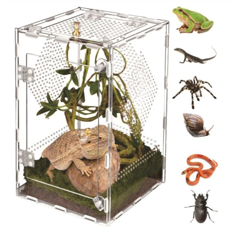 20x20x30cm Acrylic Reptile Terrarium with Ventilated Removable Lid