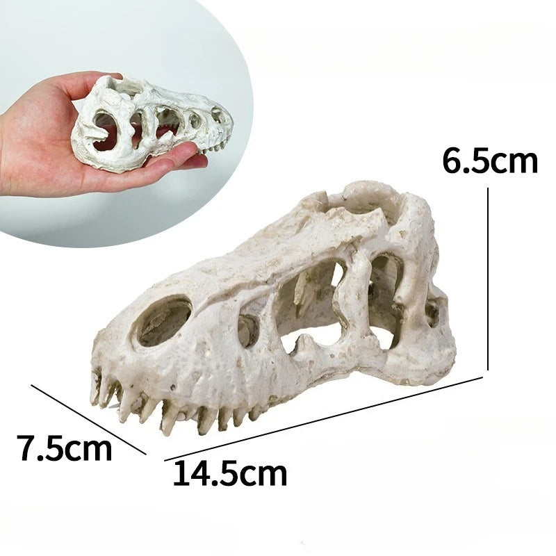 Reptile Skull Hideout & Terrarium Decor – Panda, Mammoth & T-Rex