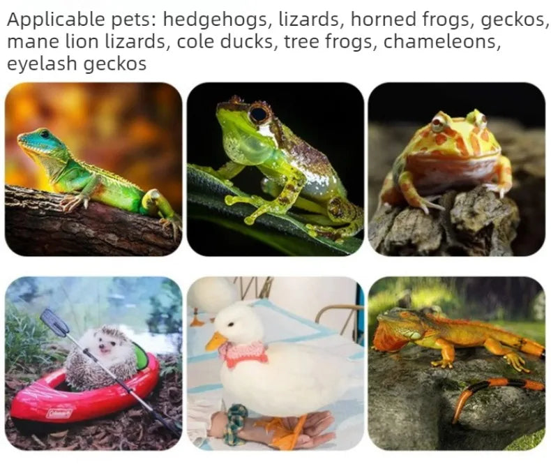 Reptile Pet Breeding Box Wooden Acrylic Chameleon Lizard Terrarium Ventilate Snake Hedgehog Box Reptile Breeding Case House