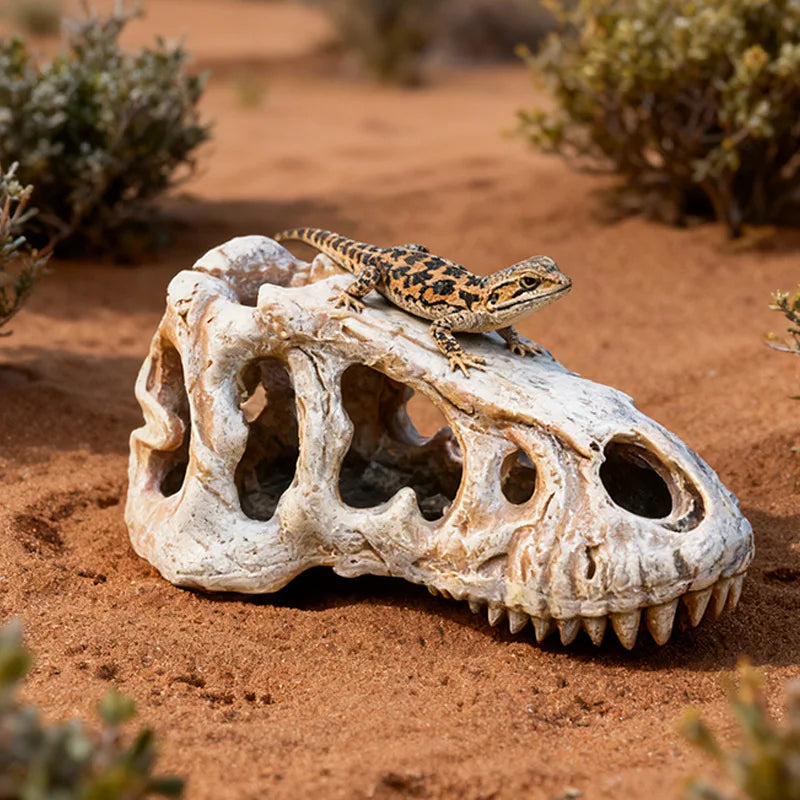 Reptile Skull Hideout & Terrarium Decor – Panda, Mammoth & T-Rex