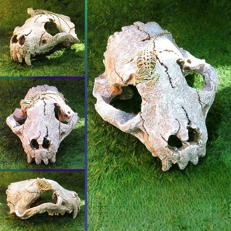 Reptile Skull Hideout & Terrarium Decor – Panda, Mammoth & T-Rex