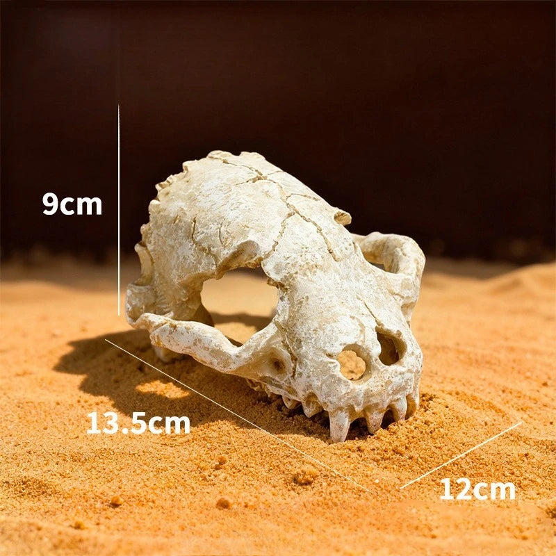 Reptile Skull Hideout & Terrarium Decor – Panda, Mammoth & T-Rex